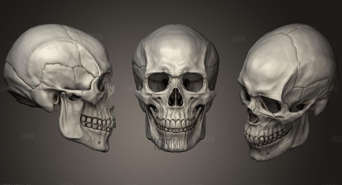 Calaveras in Mexican Art History